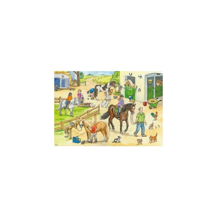 RAVENSBURGER Animali Puzzle (2 x 48 x, 24 x)