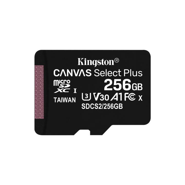 KINGSTON TECHNOLOGY MicroSDXC Canvas Select Plus (Class 10, 256 GB, 100 MB/s)