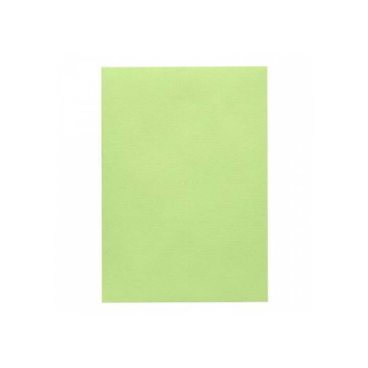 ARTOZ Cartone 1001 (Verde, A4, 5 pezzo)