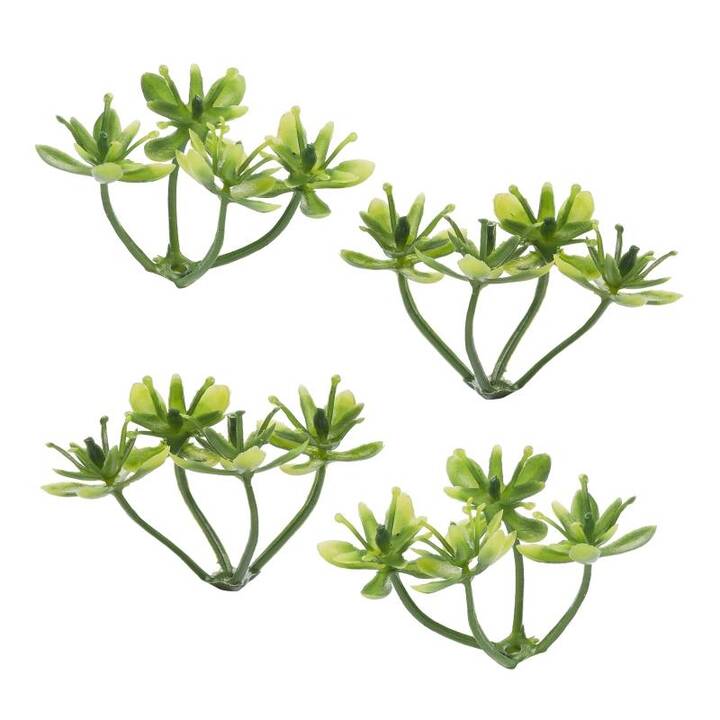 HOBBYFUN Deko Miniatur-Pflanzen (Grün)