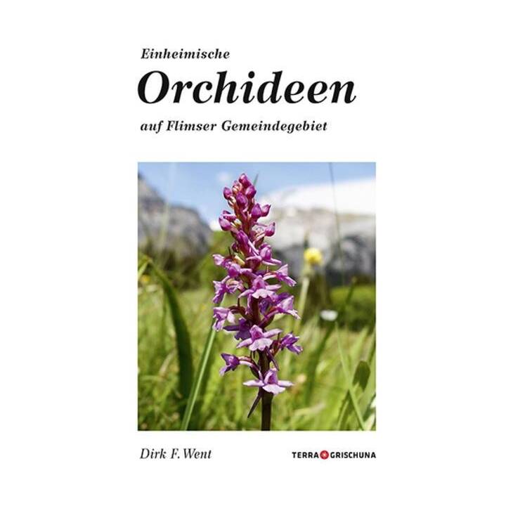 Einheimische Orchideen auf Flimser Gemeindegebiet