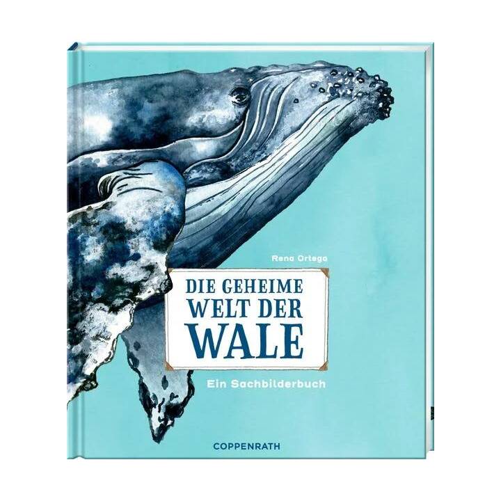 Die geheime Welt der Wale. Ein Sachbilderbuch