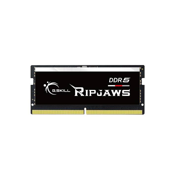 G.SKILL Ripjaws F5-5600S4645A16GX1-RS (1 x 16 Go, DDR5 5600 MHz, SO-DIMM 262-Pin)