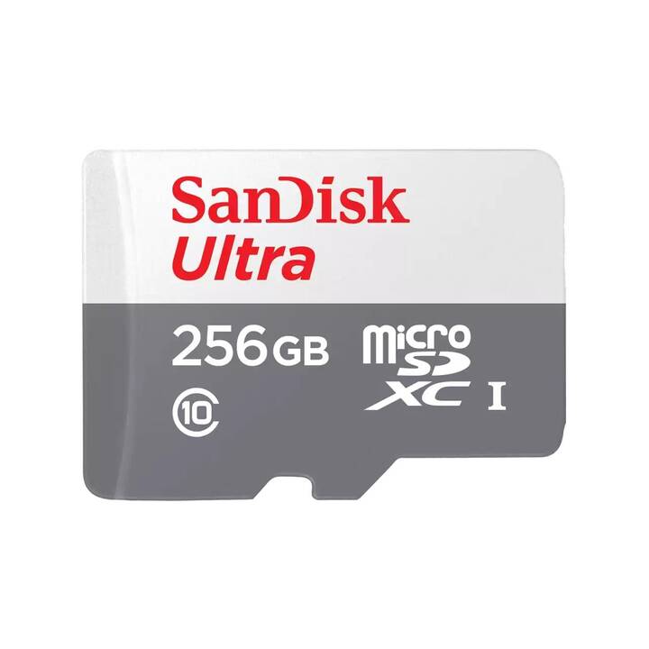 SANDISK MicroSDXC Ultra (Class 10, 256 Go, 100 Mo/s)