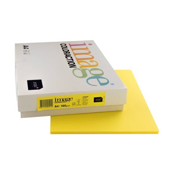 IMAGE Coloraction Papier couleur (250 feuille, A4, 160 g/m2)