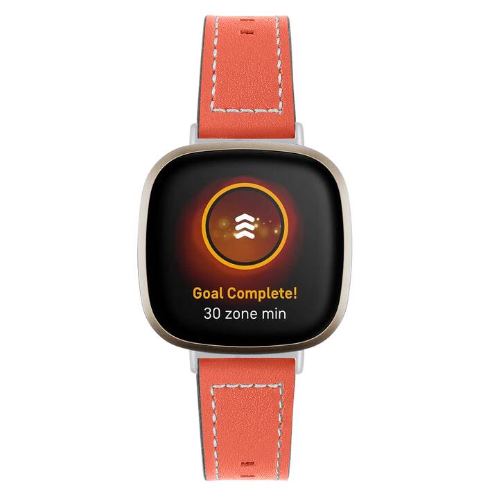 EG Armband (Fitbit Versa 3, Orange)