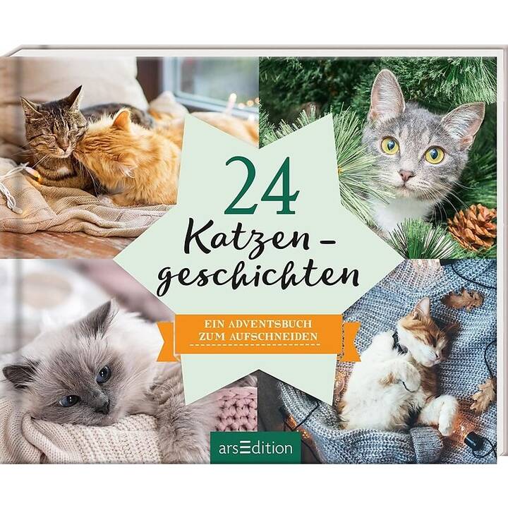 ARS EDITION Buch-Adventskalender