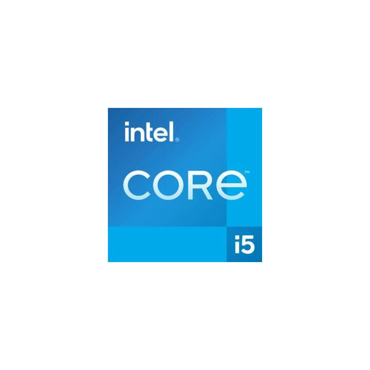 DELL Inspiron 15 3520 (15.6", Intel Core i5, 16 GB RAM, 512 GB SSD)