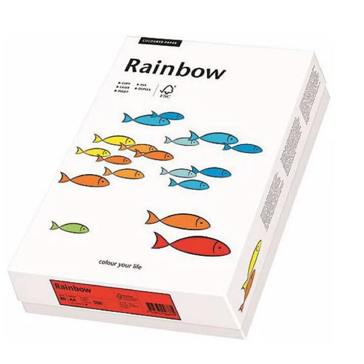 PAPYRUS Rainbow Farbiges Papier (250 Blatt, A3, 160 g/m2)