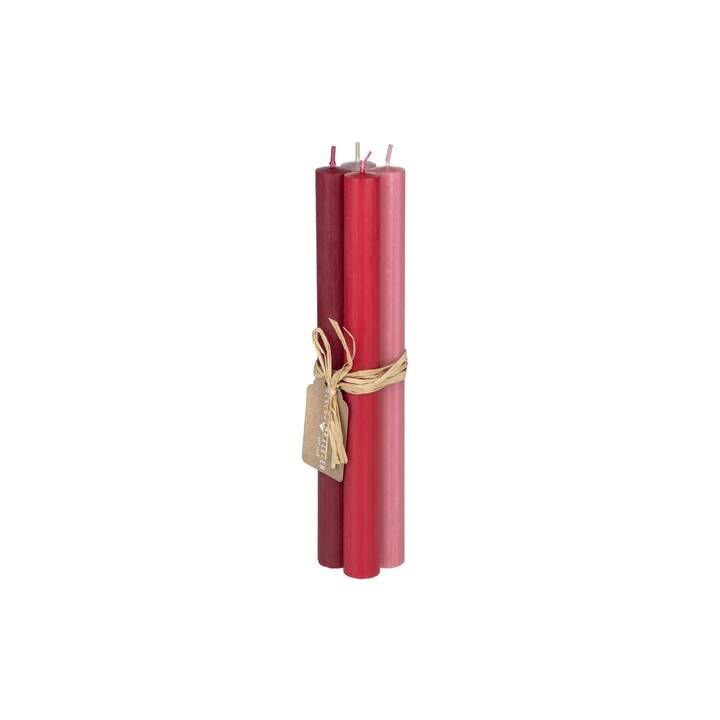 HERZOG KERZEN Candela lunga (4 pezzo, Bomba ciliegia rosso, Rosso, Rosa)
