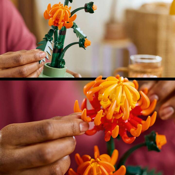 LEGO Icons Le chrysanthème (10368)