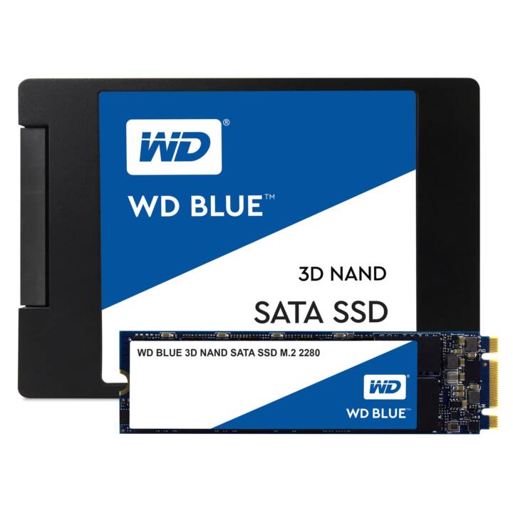 WESTERN DIGITAL WDS100T2B0B (SATA-III, 1000 GB)