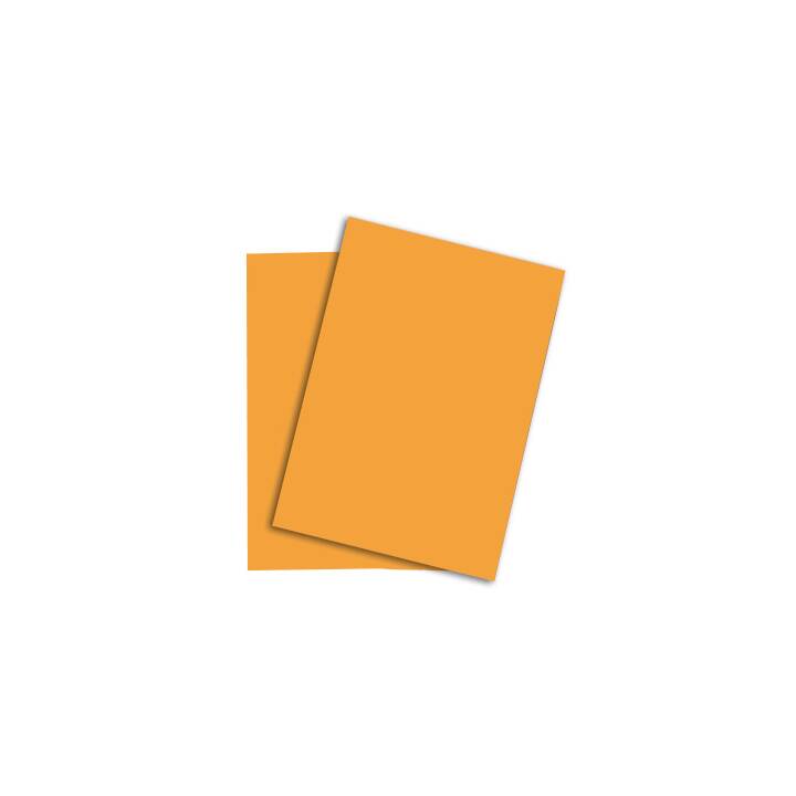PAPYRUS Papier couleur (250 feuille, A3, 160 g/m2)