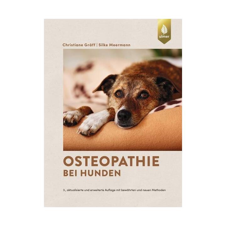 Osteopathie bei Hunden