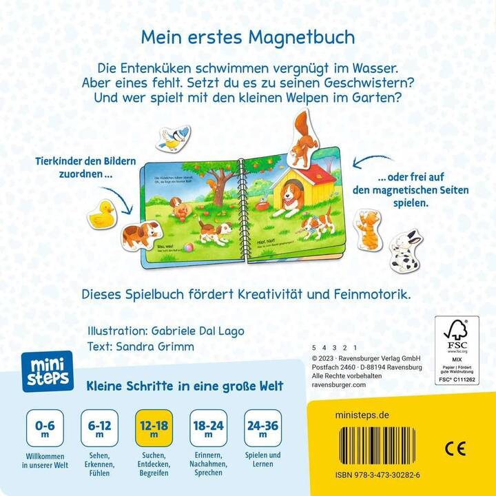 ministeps: Mein erstes Magnetbuch: Wer gehört zu wem? Tierkinder