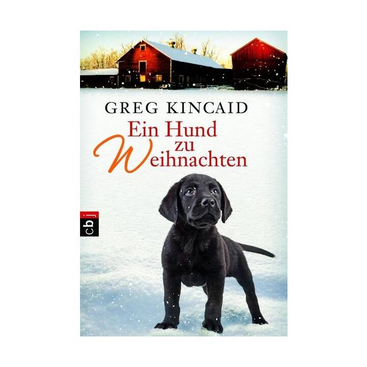 Ein Hund zu Weihnachten