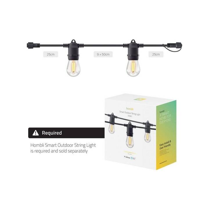 HOMBLI Ghirlanda di luci Smart Light (10 Lampadine, 500 cm)