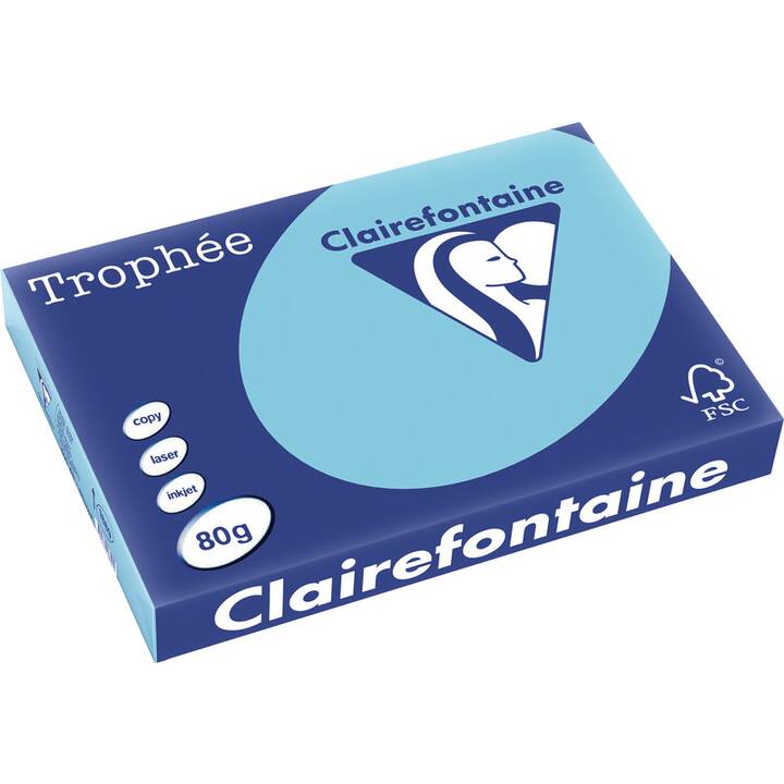 CLAIREFONTAINE Farbiges Papier (500 Blatt, A3, 80 g/m2)