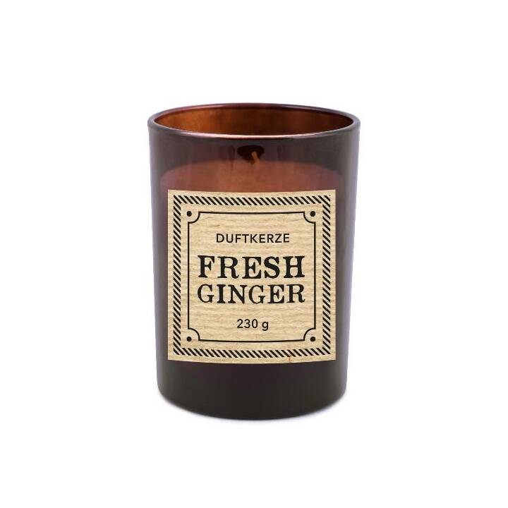 PAJOMA Bougie parfumée Fresh Ginger