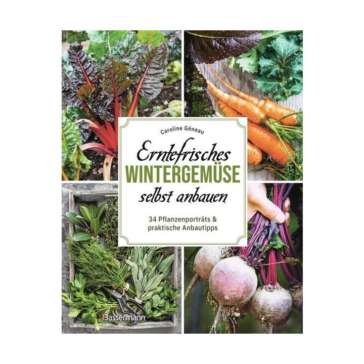 Erntefrisches Wintergemüse selbst anbauen. 34 Pflanzenporträts & praktische Anbautipps
