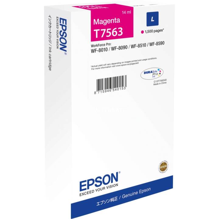 EPSON C13T756340 (Magenta, 1 pezzo)