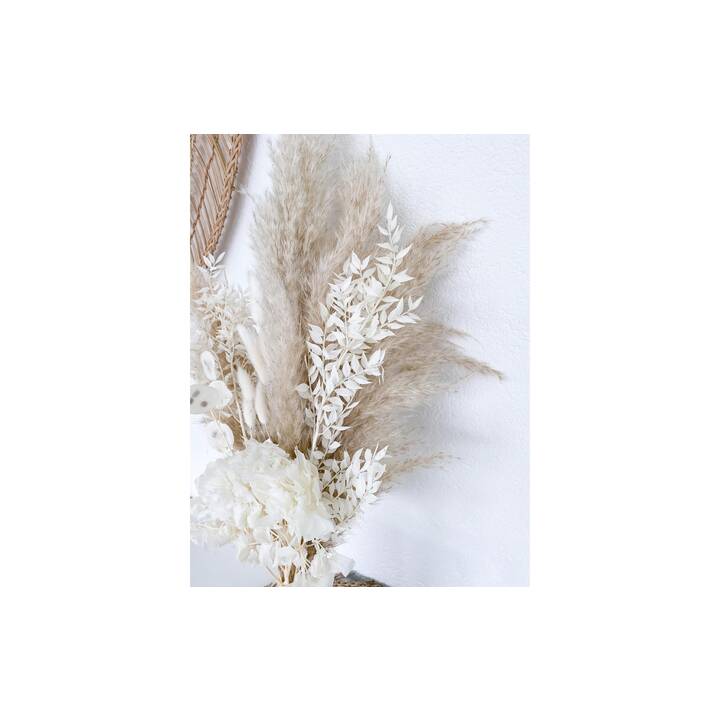 SOLI COLLECTION All White Fleurs séchées (Beige, Blanc)