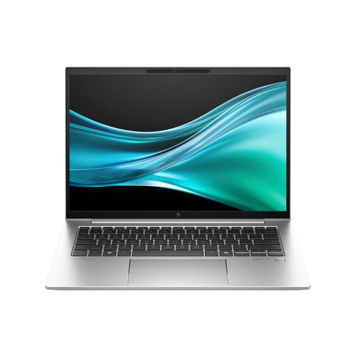 HP EliteBook 845 G11  (14", AMD Ryzen 5, 16 GB RAM, 512 GB SSD)