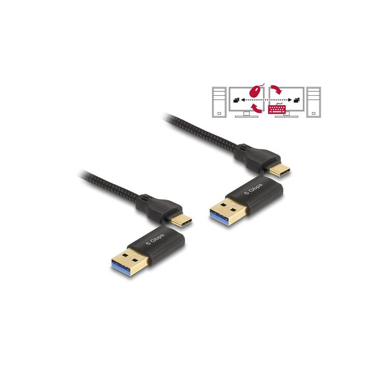 DELOCK USB-Kabel (USB C, USB A, USB Typ-A, 2 m)