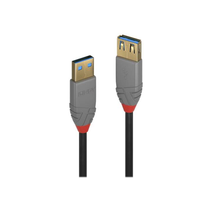 LINDY Câble USB (USB 3.0 Type-A, USB 3.0 Type-A, 1 m)