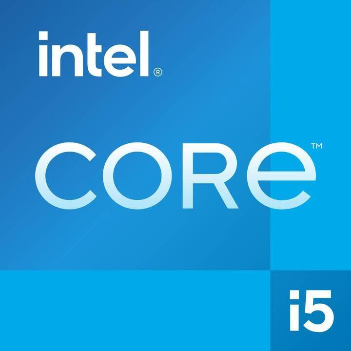 DELL Latitude 5430 (14", Intel Core i5, 16 GB RAM, 512 GB SSD)