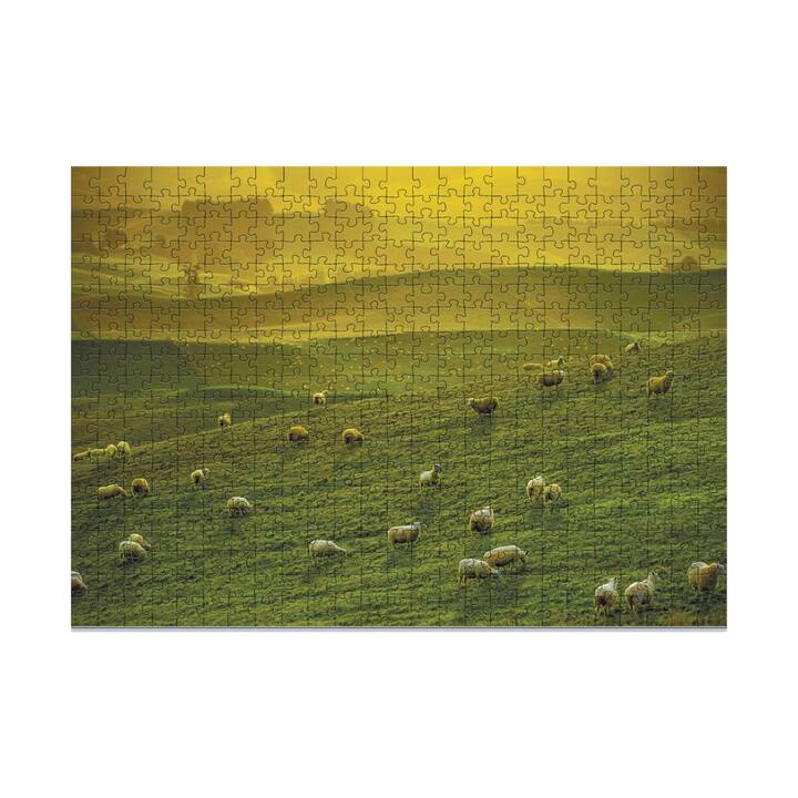 DODO Hobbiton New Zealand Puzzle (500 x)