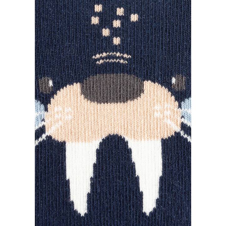 STERNTALER Chaussette pour bébé (18, Bleu marine)