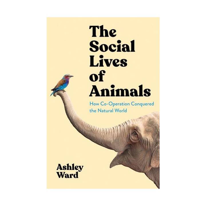 The Social Lives of Animals