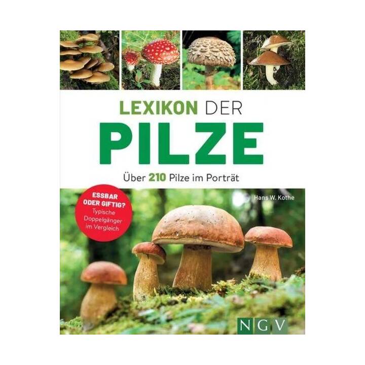 Lexikon der Pilze - Über 210 Pilze im Porträt