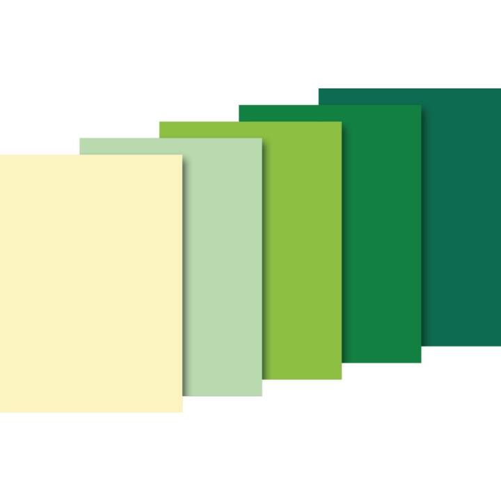 HEYDA Seidenpapier (Grün, 10 Stück)