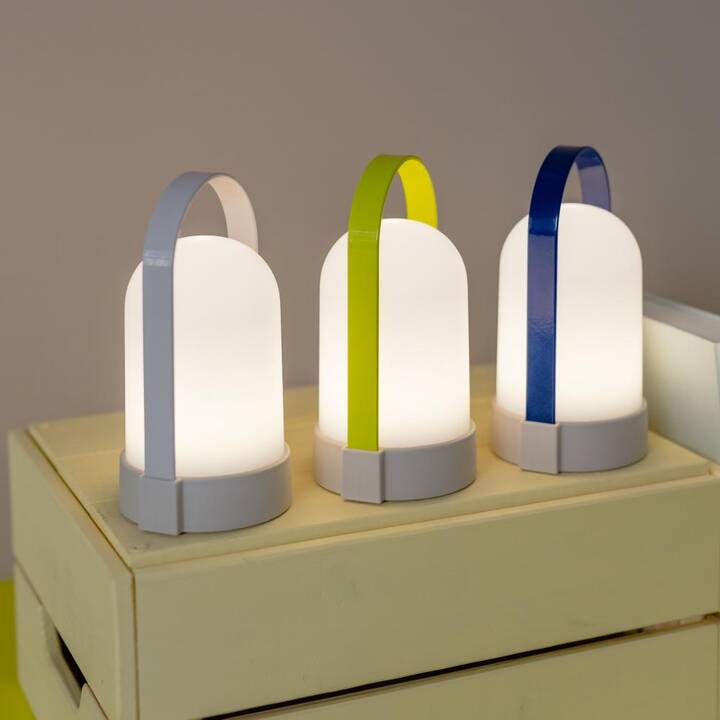 REMEMBER Lanterne URI Piccolos (LED, Accus, Multicolore)