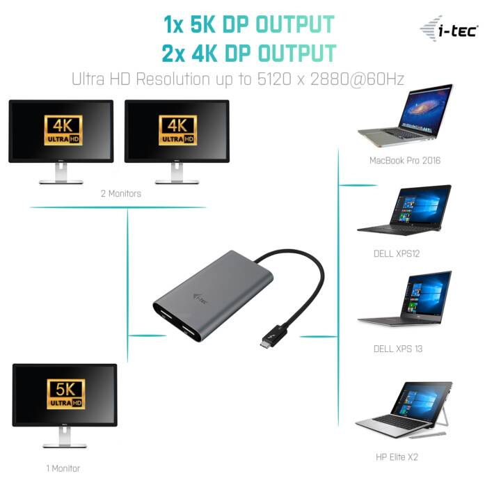 I-TEC Video-Adapter (2 x DisplayPort)