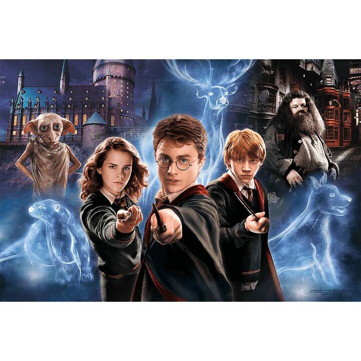 TREFL Harry Potter Film e fumetto Puzzle (160 x)