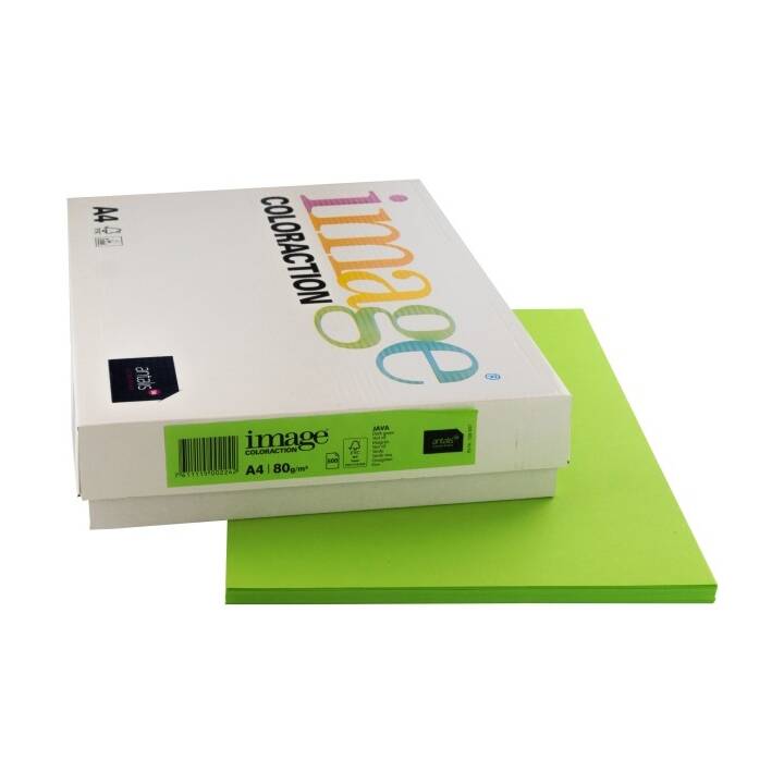IMAGE Coloraction Farbiges Papier (500 Blatt, A4, 80 g/m2)
