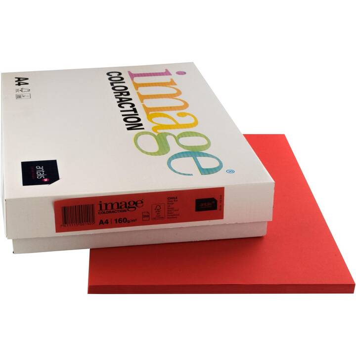 IMAGE Coloraction Carta colorata (250 foglio, A4, 160 g/m2)
