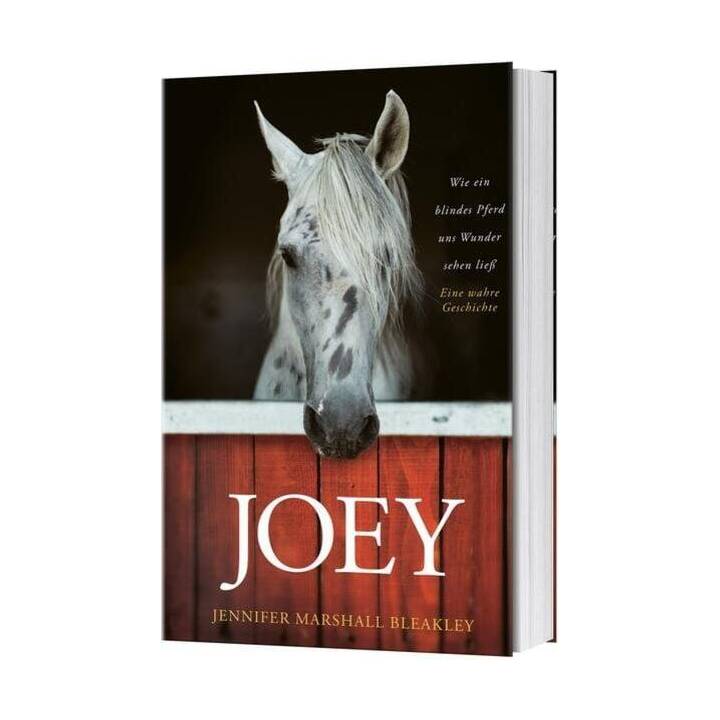 Joey - Wie ein blindes Pferd uns Wunder sehen liess