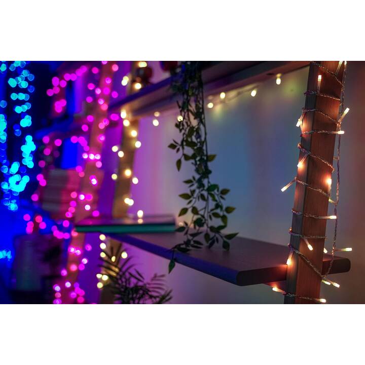 TWINKLY Ghirlanda di luci Strings 600L RGBW (600 LEDs)