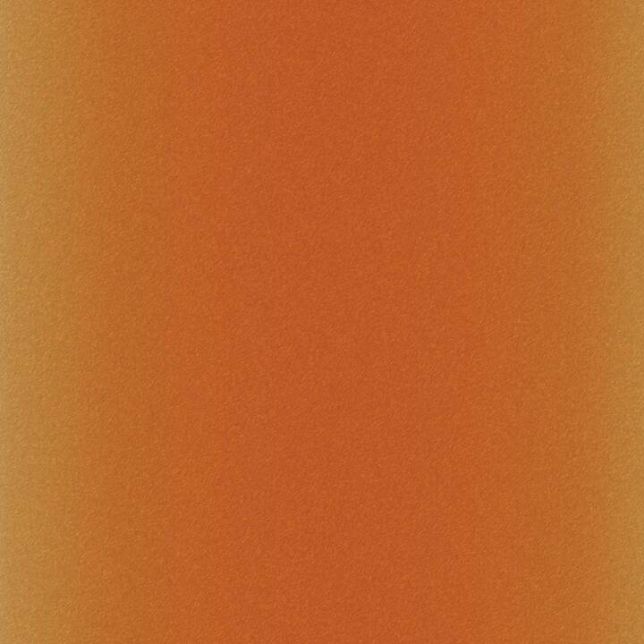 CRICUT Film de bricolage Leopard (30.5 cm x 30.5 cm, Orange)