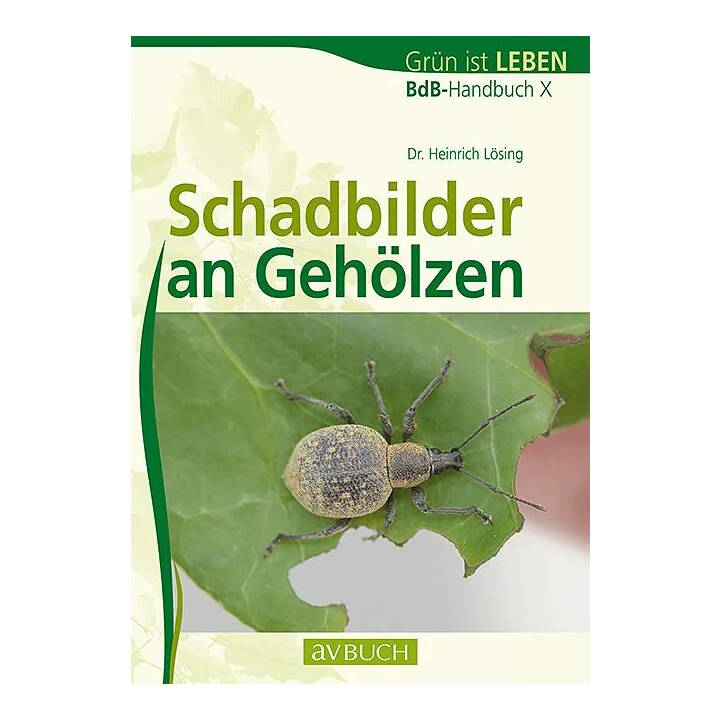 Schadbilder an Gehölzen