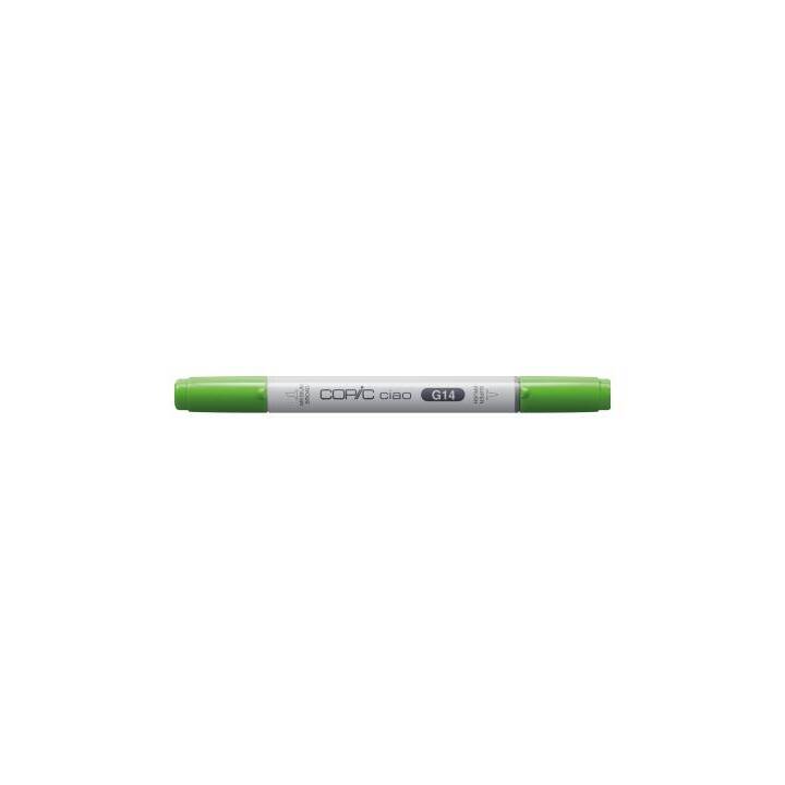 COPIC Marqueur de graphique Ciao G14 Apple Green (Vert, 1 pièce)