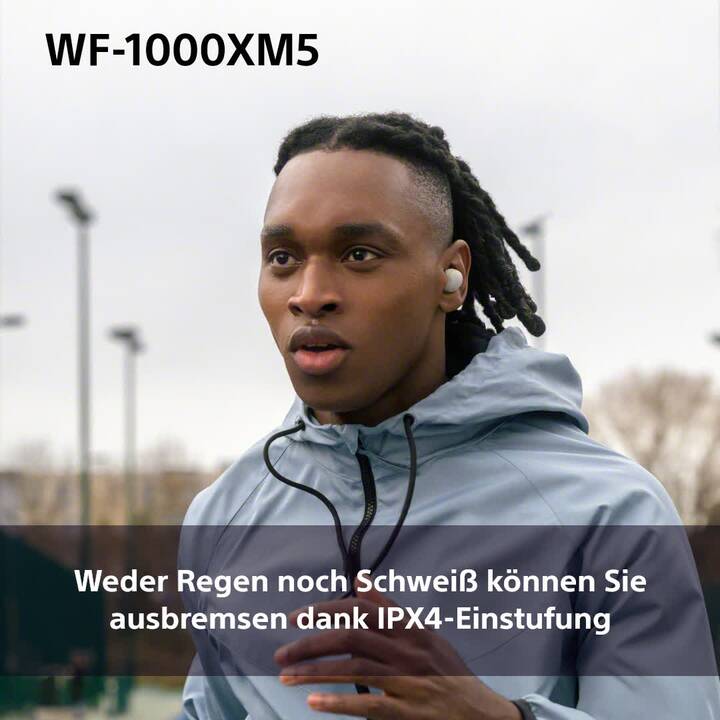 SONY WF-1000XM5 (Bluetooth 5.3, Silber)