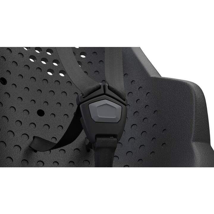THULE Velokindersitz Yepp 2 Maxi (GT) (22 kg)