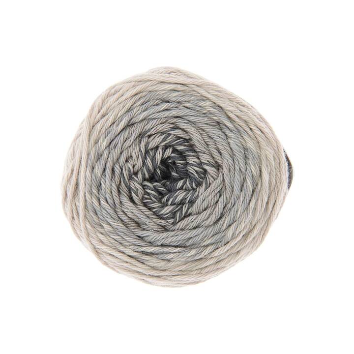 RICO DESIGN Laine Spin Spin  (50 g, Gris)