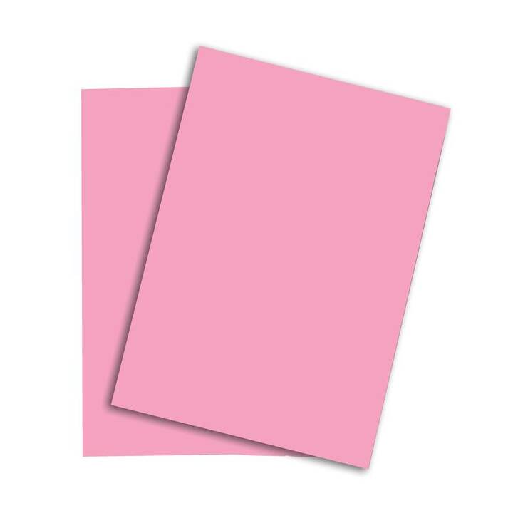 PAPYRUS Papier couleur (500 feuille, A4, 80 g/m2)
