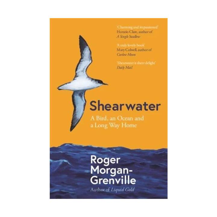 Shearwater